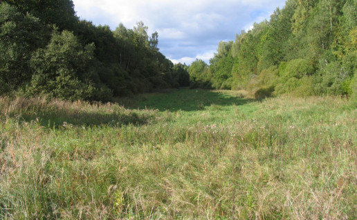 6_Aklaežeris Vokstelis (2).jpg